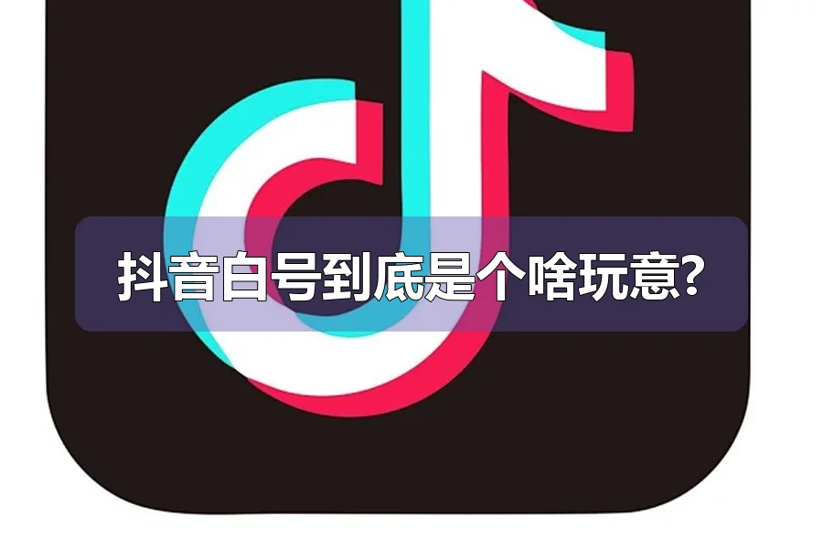 抖音白号到底是个啥玩意?